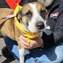 Thumbnail photo of Travis #3