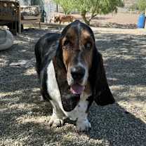 Thumbnail photo of Jelly Roll #1