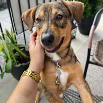 Thumbnail photo of Lola #4