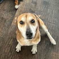 Thumbnail photo of Sugar #2