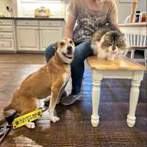 Thumbnail photo of Sugar #3