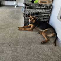 Thumbnail photo of Mac #1