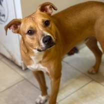 Thumbnail photo of Andy Anderson #2