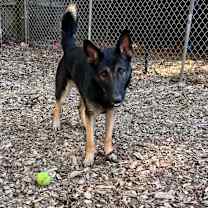 Thumbnail photo of Xena #3