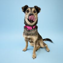 Thumbnail photo of Winnie #2