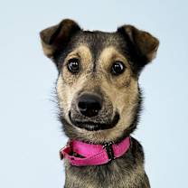 Thumbnail photo of Winnie #3