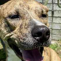 Thumbnail photo of Luna #3