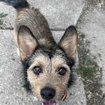 Thumbnail photo of Poncho #2