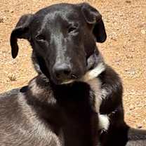 Thumbnail photo of Jilligan #4