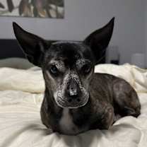 Thumbnail photo of Victor #2