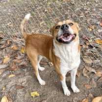 Thumbnail photo of Luke [Foster Home] #4