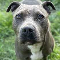 Thumbnail photo of Kira #1