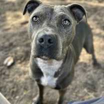 Thumbnail photo of Kira #2