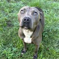 Thumbnail photo of Kira #3