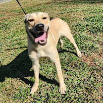 Thumbnail photo of Tucker 21299 #3