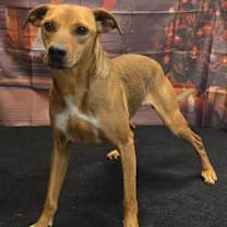 Thumbnail photo of Finn #1