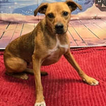 Thumbnail photo of Finn #3