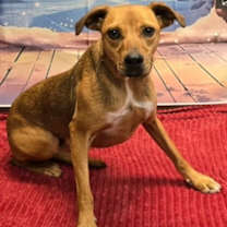 Thumbnail photo of Finn #4