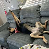 Thumbnail photo of Sunny #4