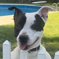 Thumbnail photo of Cowboy #3