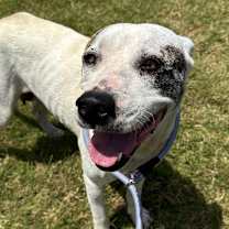 Thumbnail photo of Snow #3