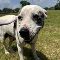 Thumbnail photo of Snow #4