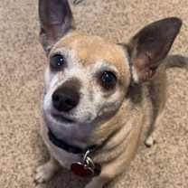 Thumbnail photo of Fideo #1