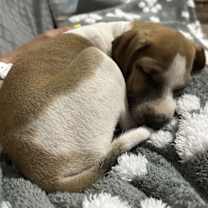 Thumbnail photo of Lucas #2