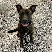 Thumbnail photo of Pina Coloda #1