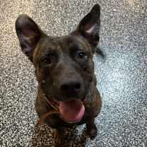 Thumbnail photo of Pina Coloda #3