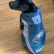 Thumbnail photo of Riley #2