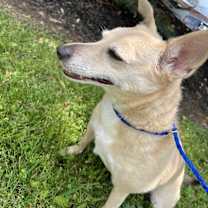 Thumbnail photo of Lil #2