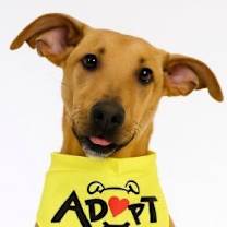 Thumbnail photo of Valentinox #1