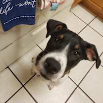 Thumbnail photo of HELP Baker #1