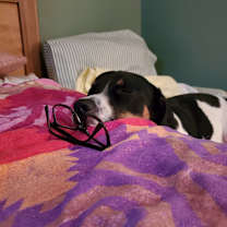 Thumbnail photo of HELP Baker #4