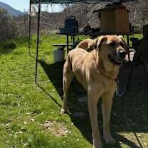 Thumbnail photo of Cruz #2