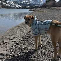 Thumbnail photo of Cruz #3