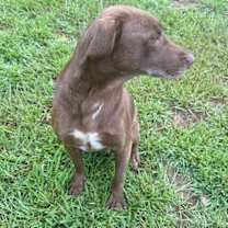 Thumbnail photo of Hunter #2