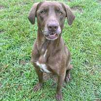 Thumbnail photo of Hunter #3