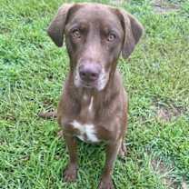 Thumbnail photo of Hunter #4