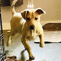 Thumbnail photo of Dani SSP #3