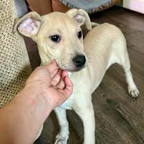 Thumbnail photo of Dani SSP #4