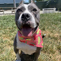 Thumbnail photo of Mildred (mom) #1