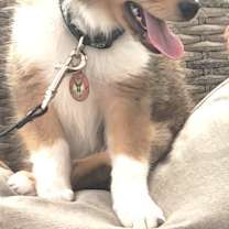 Thumbnail photo of Theodore #1