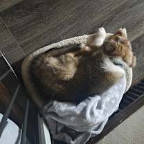 Thumbnail photo of Theodore #2