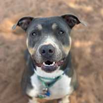 Thumbnail photo of Kamri #2