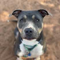 Thumbnail photo of Kamri #4