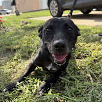 Thumbnail photo of Edison Everly #2