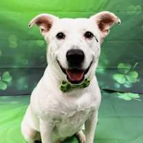 Thumbnail photo of Miller #1