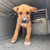 Thumbnail photo of Titan #3